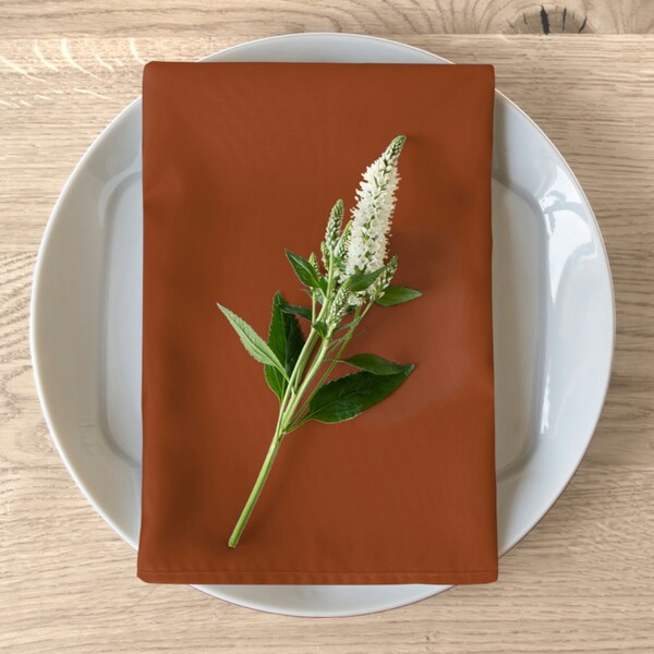 Terra cotta colored cloth Napkins