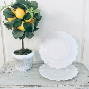 Westmoreland Paneled Grape White Milchglas Luncheon Teller 21,5 cm 2er-Set