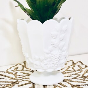 May include: White milk glass planter with a scalloped rim and embossed grape design. The planter has a pedestal base and is filled with a green plant.