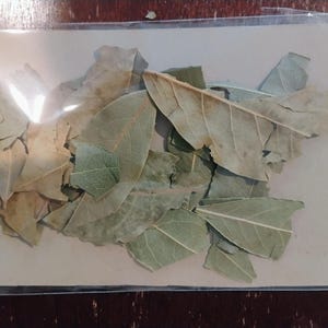 May include: A collection of dried bay leaves packaged in a clear plastic sleeve. The leaves are various shades of muted green and brown, featuring visible veins and irregular, jagged edges, arranged flat against a light beige rectangular backing.
