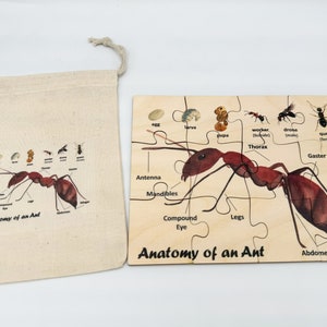 May include: A wooden puzzle depicting the anatomy of an ant, with labeled parts like antenna, mandibles, and abdomen. The puzzle is accompanied by a canvas bag with a matching illustration. The puzzle measures approximately 10 inches by 8 inches.