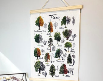 Leaves of North American Trees/ Wall Art Canvas/ Nature Print / Nursery Decor / Homeschool Classroom Wall Decor/ Tree Identification Poster