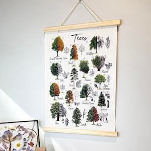 Hojas de árboles de América del Norte/ Lienzo de arte de pared/ Impresión de la naturaleza / Decoración de la guardería / Decoración de la pared del aula de la escuela en el hogar / Póster de identificación de árboles