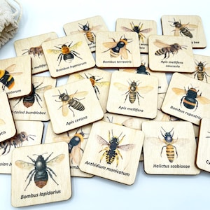 Jeu d’association d’insectes Montessori Bee / Jeu de mémoire d’abeilles pour tout-petits d’âge préscolaire à la maison / Jouet éducatif Montessori / Enfants apprenant la nature