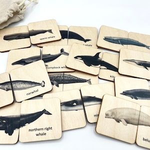Puzzle de baleines en bois Montessori
