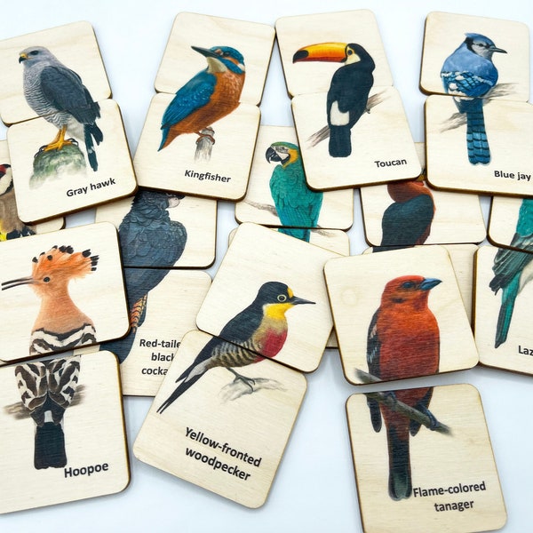 Montessori Wood Birds Puzzle game / Homeschool Preschool Kindergarten Bird animals matching cards