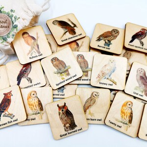 Jeu d'association de hiboux en bois Montessori/jeu de mémoire, activités scolaires à domicile pour les tout-petits