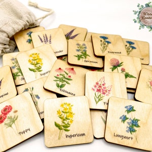 Jeu de mémoire de fleurs sauvages en bois Montessori/cartes assorties/école à la maison préscolaire maternelle apprendre l'activité des fleurs/étude de la nature