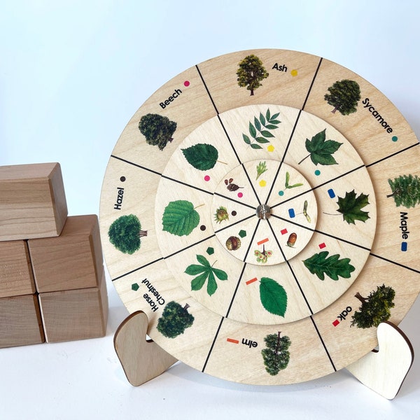 Montessori tree leaf wooden wheels activity/ Tree Leaves Match Toys/ Homeschool Preschool Kindergarten Toddler Learning edcational toys