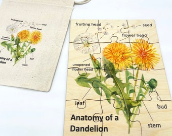 Montessori Wooden anatomy dandelion puzzle/ Homeschool Preschool Kindergarten flowers plant cycle puzzle educational activity/ Nature Study