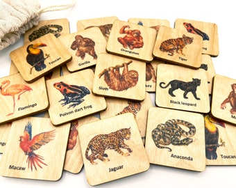 Montessori Rainforest Animals Matching Cards, Wooden South America Animals Memory Game, Homeschool Kindergarten Preschooler Toddler Activity