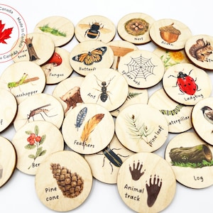 May include: Wooden educational discs featuring nature illustrations, including a butterfly, ant, leaf, and bird. Each disc has a unique image and label. The set includes a "Made in Canada" stamp with a maple leaf.