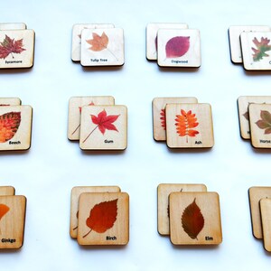 Montessori Wood leaf Memory Game/ Matching Cards For Kids/ Homeschool for toddler preschool Learning/ Autumn Fall themes image 2