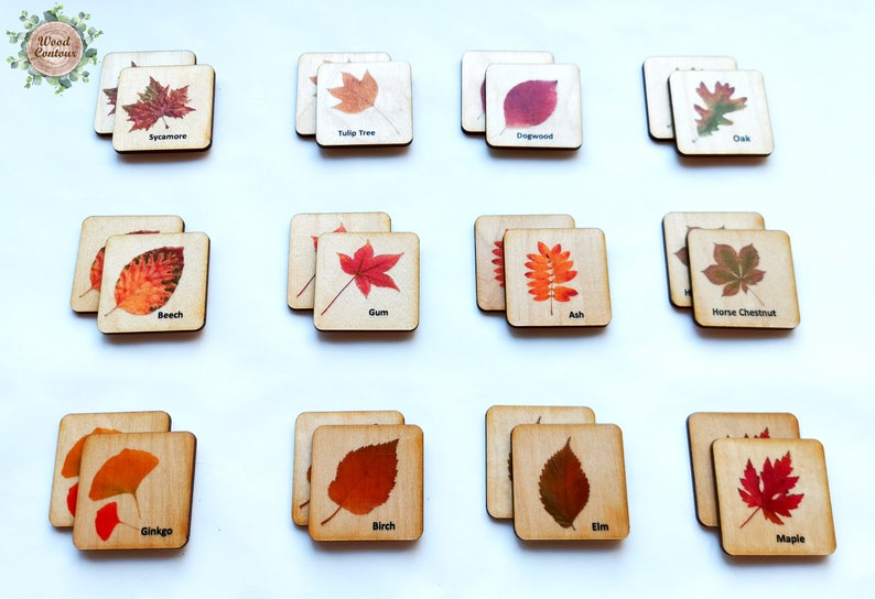 Montessori Wood leaf Memory Game/ Matching Cards For Kids/ Homeschool for toddler preschool Learning/ Autumn Fall themes image 2