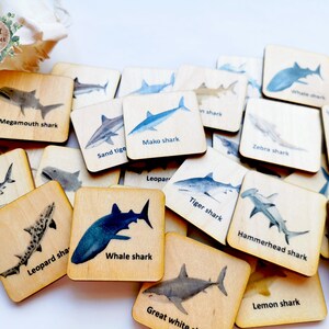 Cartes assorties en bois Montessori en bois de requin/ Jeu de mémoire en bois de requin pour l'école à la maison/ Cartes mémoire d'apprentissage pour la maternelle