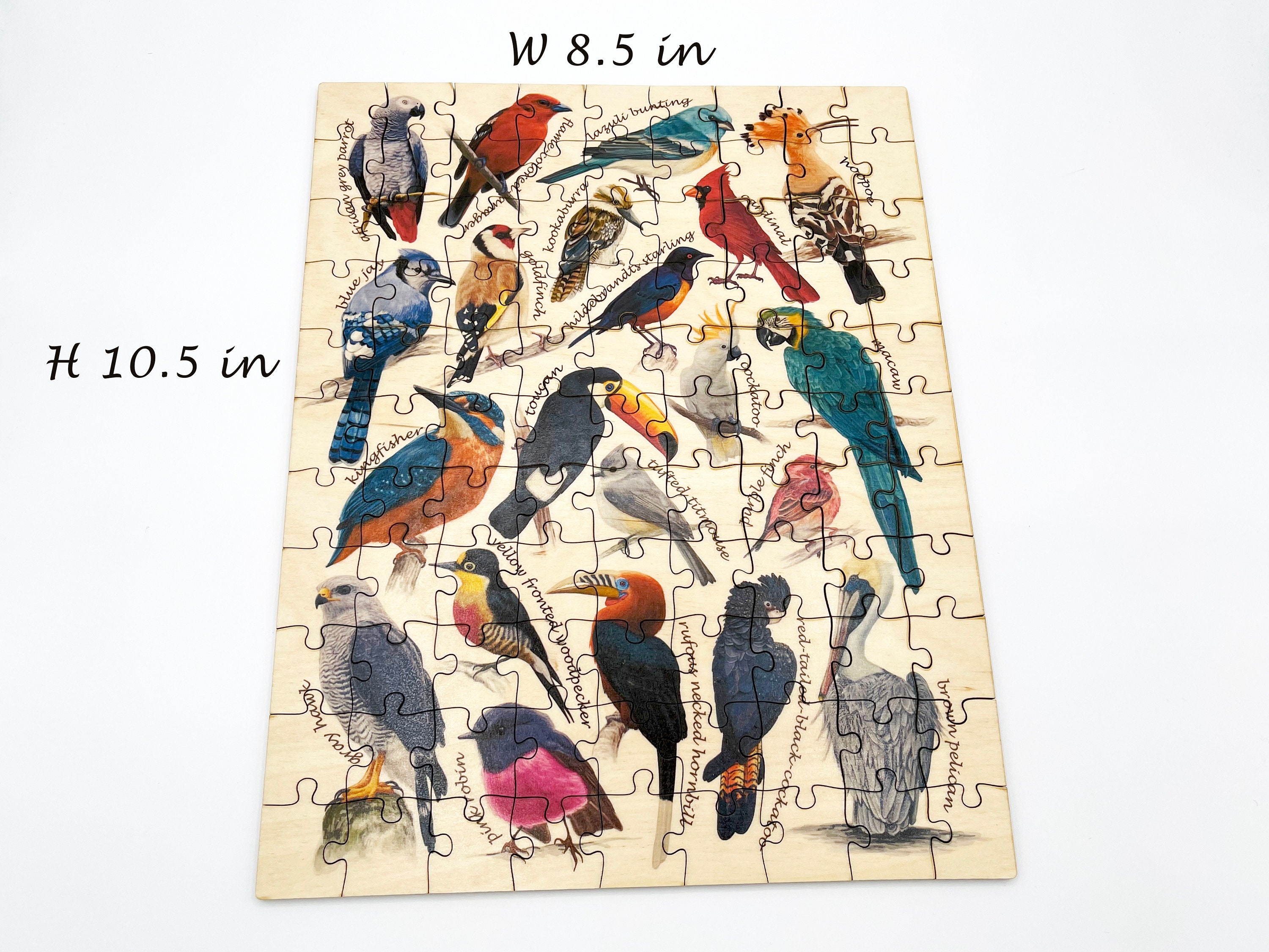 Wooden Birds Jigsaw Puzzle for Kids/ Adults/ Birds Names Puzzle