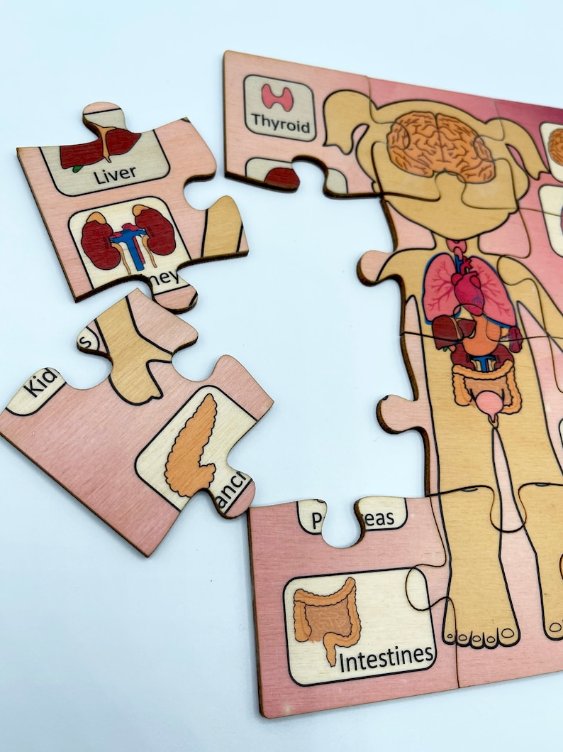 Montessori Wooden Body parts jigsaw Puzzle Wood anatomy human body human organs puzzle homeschool Kids Science Lesson learning activity
