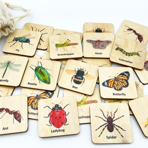 Wooden Insect Bug Memory Game, Montessori insect bug matching cards, homeschool materials/  bilingual French Homeschool Preschooler acitivty