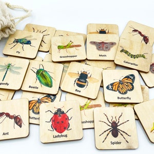 Jeu de mémoire en bois sur les insectes, cartes de correspondance Montessori, matériel d'école à domicile/activité bilingue français pour l'école à la maison pour enfants d'âge préscolaire