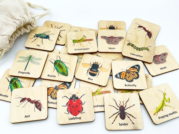 Pegar bugs jogos brinquedos para crianças Family Board Games