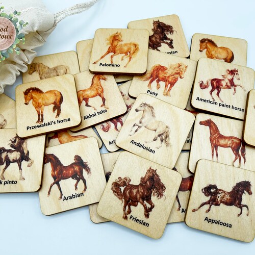 Wooden Montessori Horses memory game/ Homeschool Kindergarten Preschooler educational learning activity/ matching cards game