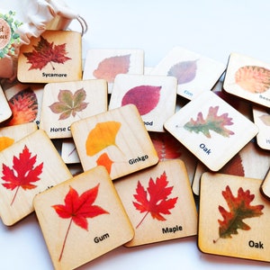 Montessori Wood leaf Memory Game/ Matching Cards For Kids/ Homeschool for toddler preschool Learning/ Autumn Fall themes image 1