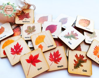 Jeu de mémoire de feuille de bois Montessori / Cartes assorties pour les enfants / École à domicile pour l’apprentissage préscolaire des tout-petits / Thèmes d’automne d’automne