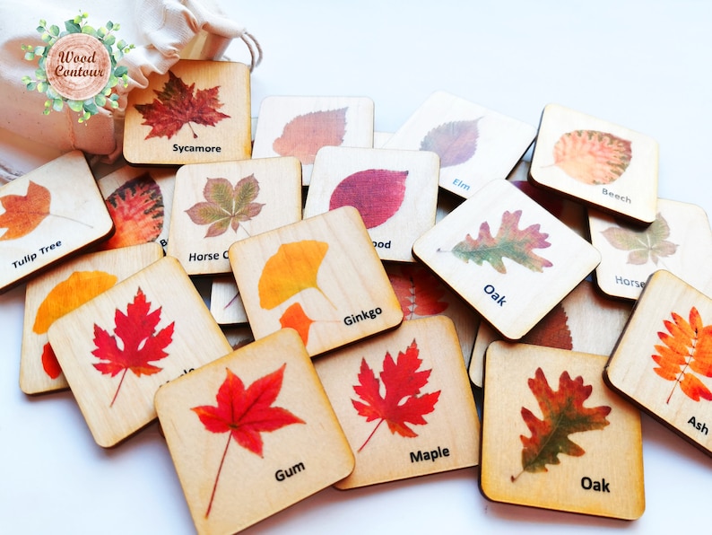 Montessori Wood leaf Memory Game/ Matching Cards For Kids/ Homeschool for toddler preschool Learning/ Autumn Fall themes image 1