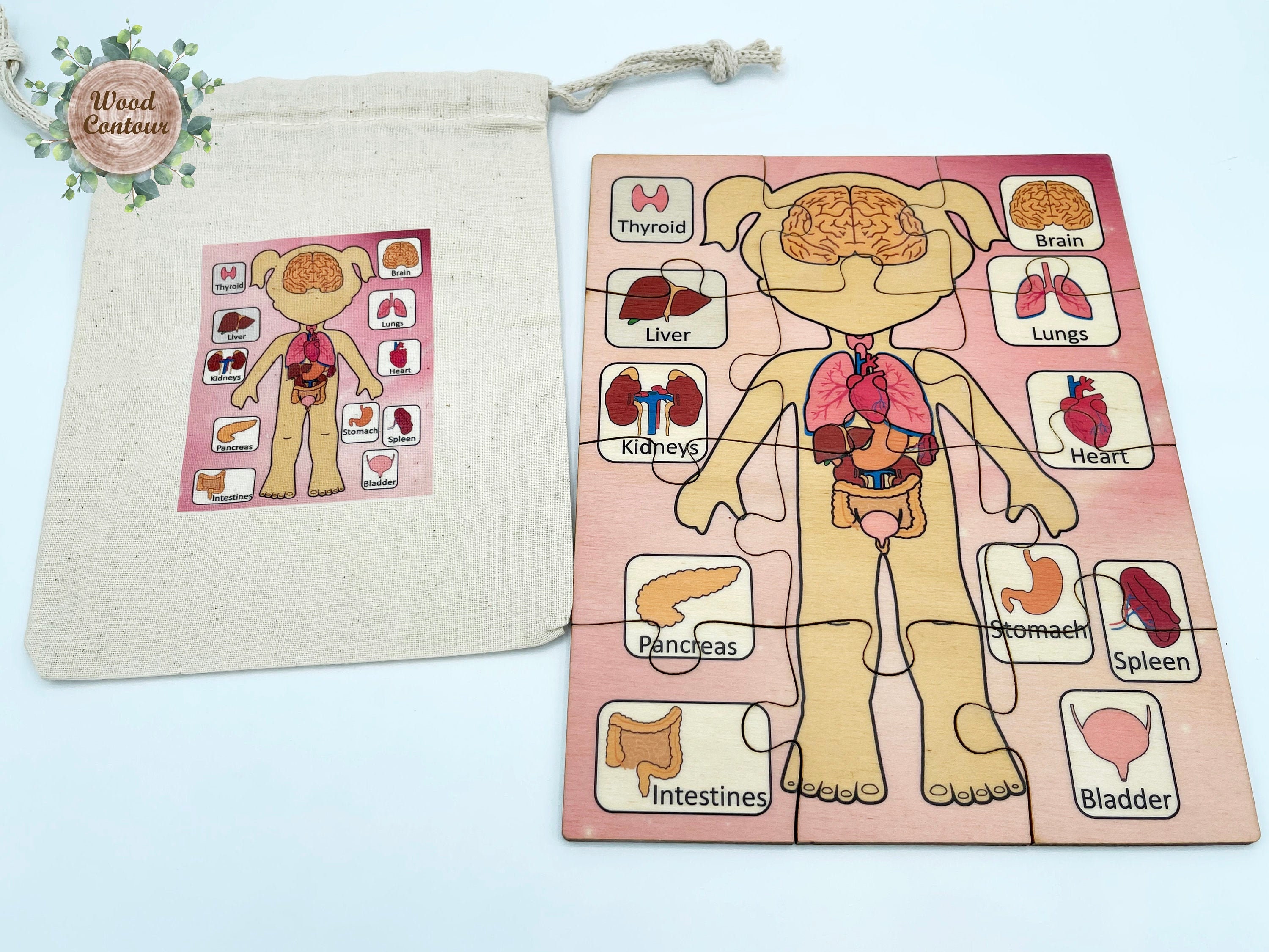 Montessori Wooden Body Parts Jigsaw Puzzle/ Wood Anatomy Human Etsy UK