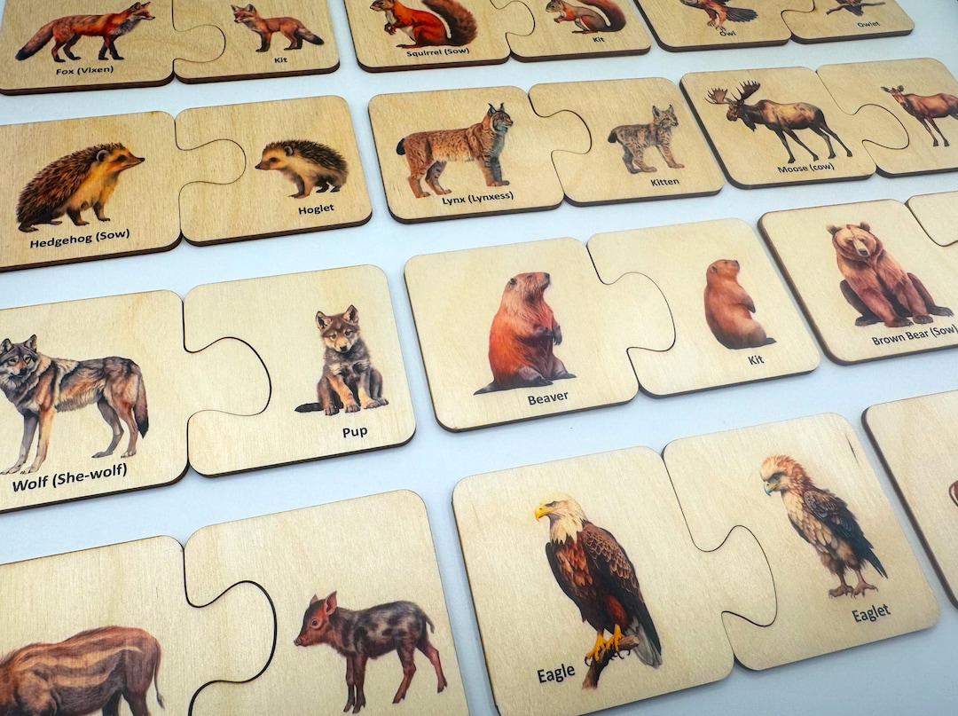 Wooden Montessori Mother Baby North America Woodland Animals Matching ...