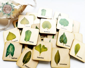 Montessori wooden botany leaf shapes matching cards/ Homeschool Preschooler  Kindergarten Toddler nature activity/ memory game