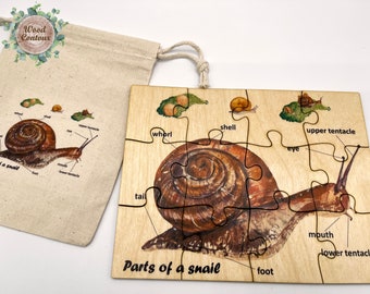 Montessori wooden snail anatomy jigsaw puzzle/ Homeschool Kindergarten Preschooler Kids life cycle animal learning activity