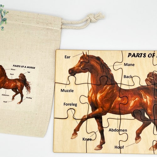 Montessori Wooden anatomy horse puzzle/ Homeschool Preschool Kindergarten jigsaw puzzle educational activity