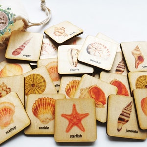 Cartes assorties Montessori en bois avec coquillages/ Jeu de mémoire pour enfants d'âge préscolaire à la maison/ Activités océaniques pour enfants/