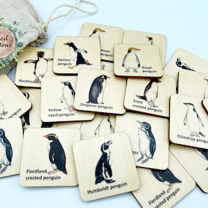 Jeu de mémoire d'animaux pingouins en bois, cartes assorties/jouets Montessori pour tout-petits de la maternelle et de l'école maternelle