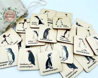 Wooden Penguin Animals Memory Game Matching cards/Montessori Kindergarten Preschool toddler animals toys