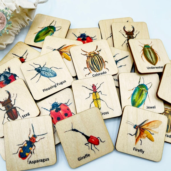 Wooden beetle memory game/ Montessori Homeschool Kindergarten Preschooler Toddler insects/bugs matching cards activity