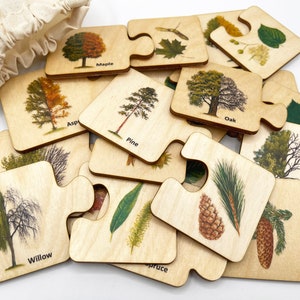 Montessori Wood tree leaves matching puzzle/ Homeschool Preschooler toddler leaf puzzle activity/ wood toys gift for kids/ nature study