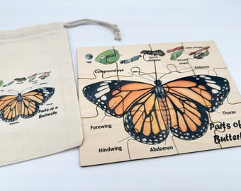 Lifecycle Of A Butterfly - Wooden Layer Puzzle - From Who What Why