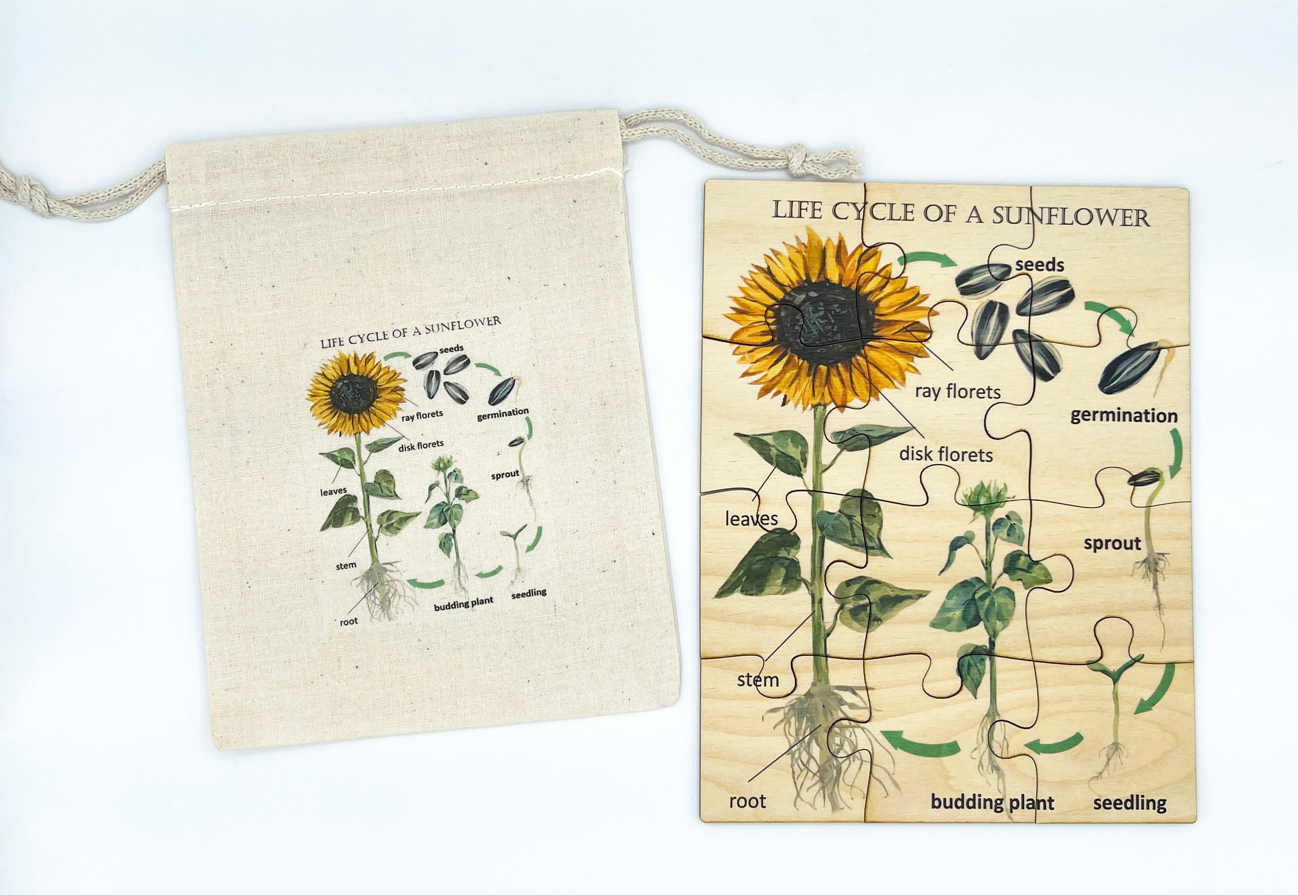 Montessori Sunflower Life-Cycle Puzzle