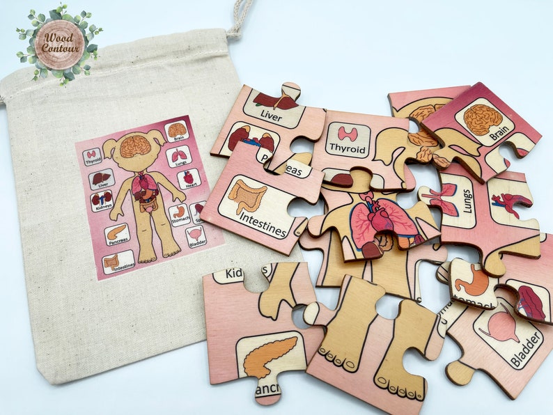 Montessori Wooden Body parts jigsaw Puzzle Wood anatomy human body human organs puzzle homeschool Kids Science Lesson learning activity