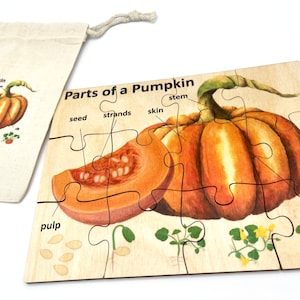May include: Wooden jigsaw puzzle showing the parts of a pumpkin, including seed, strands, skin, stem, pulp, and rib. A canvas bag with a pumpkin illustration is next to the puzzle. The text "Parts of a Pumpkin" is visible.