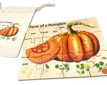 Wood Pumpkin Anatomy Puzzle for Preschool Toddler ,Montessori Parts of a Pumpkin wooden puzzle, Homeschool Fall Pumpkin Life Cycle activity