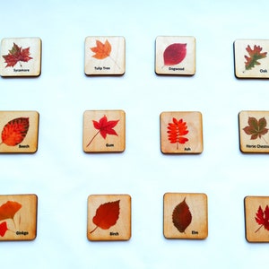 Montessori Wood leaf Memory Game/ Matching Cards For Kids/ Homeschool for toddler preschool Learning/ Autumn Fall themes image 3