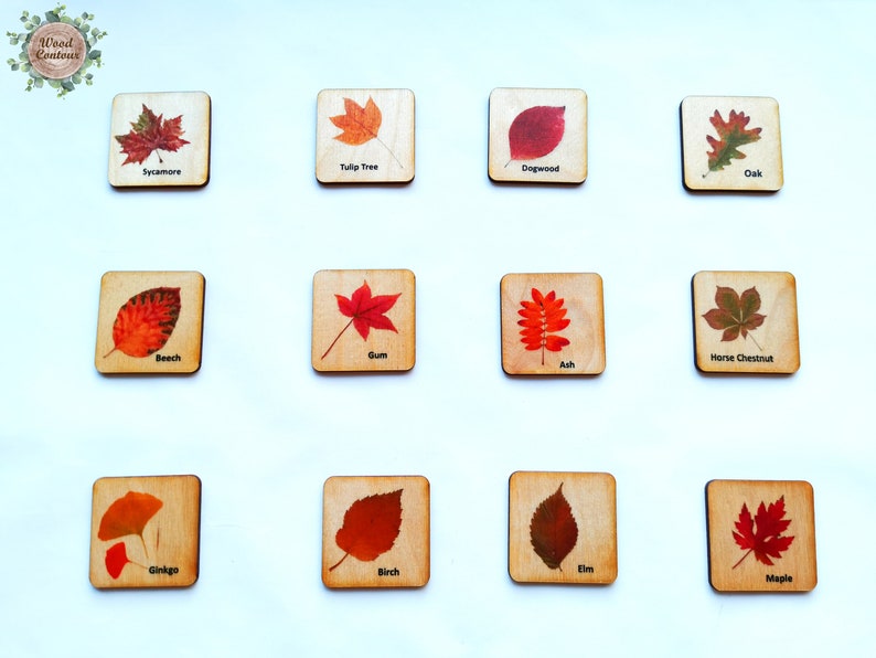 Montessori Wood leaf Memory Game/ Matching Cards For Kids/ Homeschool for toddler preschool Learning/ Autumn Fall themes image 3