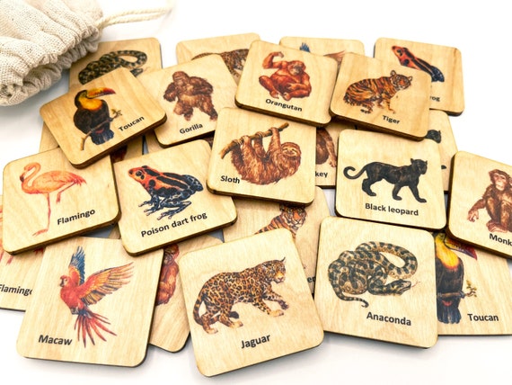 Montessori Rainforest Animals Matching Cards, Wooden South America Animals Memory Game, Homeschool Kindergarten Preschooler Toddler Activity