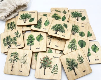 May include: A collection of wooden square cards featuring watercolor illustrations of various trees and their leaves. Each card is labeled with the tree's name, such as "Willow," "Oak," and "Pine." The cards are scattered on a white surface, with a small cloth bag in the background.