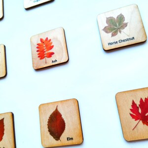 Montessori Wood leaf Memory Game/ Matching Cards For Kids/ Homeschool for toddler preschool Learning/ Autumn Fall themes image 4