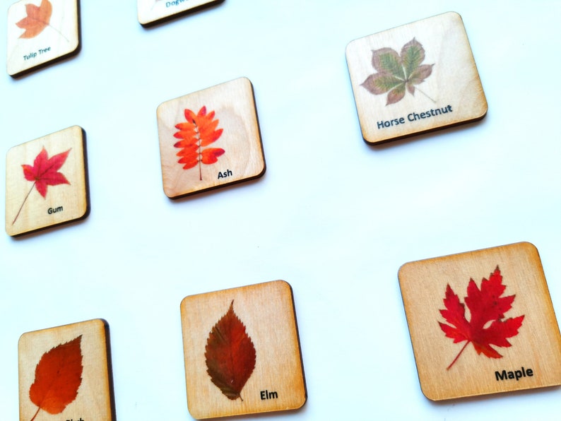 Montessori Wood leaf Memory Game/ Matching Cards For Kids/ Homeschool for toddler preschool Learning/ Autumn Fall themes image 4