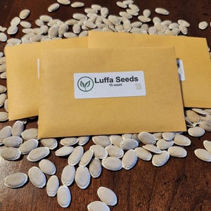 Luffa Seeds